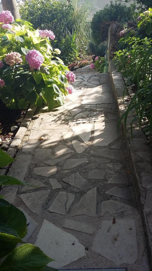 Apartment D&M1 Makarska Zewnętrze zdjęcie