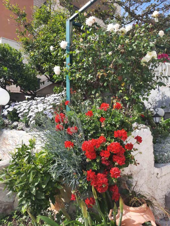 Apartment D&M1 Makarska Zewnętrze zdjęcie