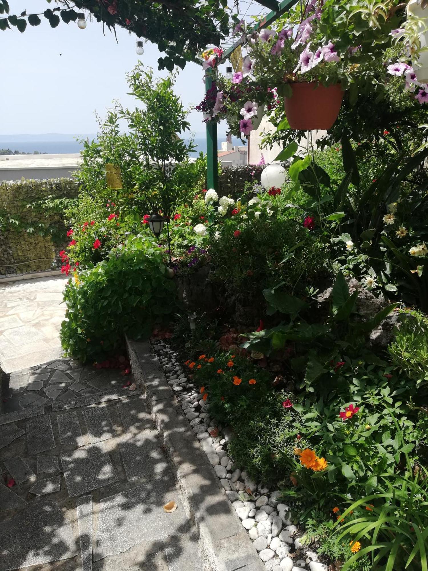 Apartment D&M1 Makarska Zewnętrze zdjęcie